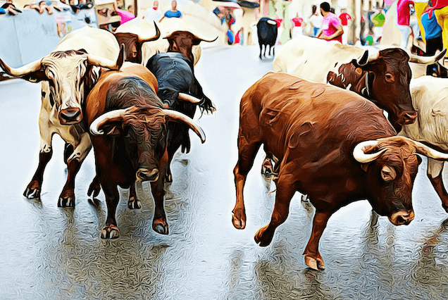 Bull Run for Kryptovaluta i 2018