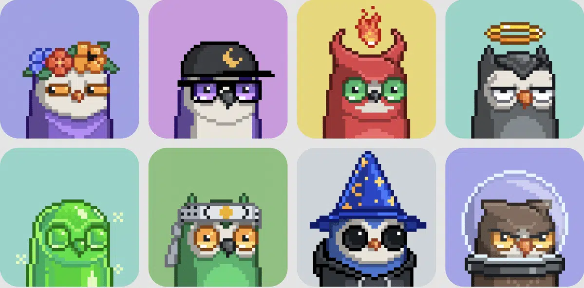 Moonbirds collection.  