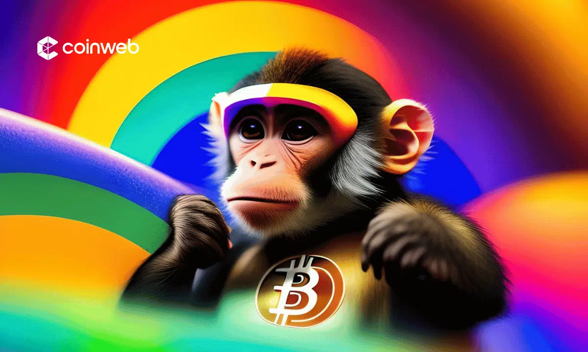 what is bitcoin rainbow chart