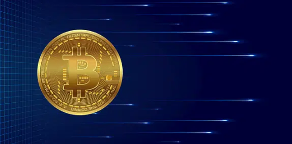 There are many types of crypto wallets.