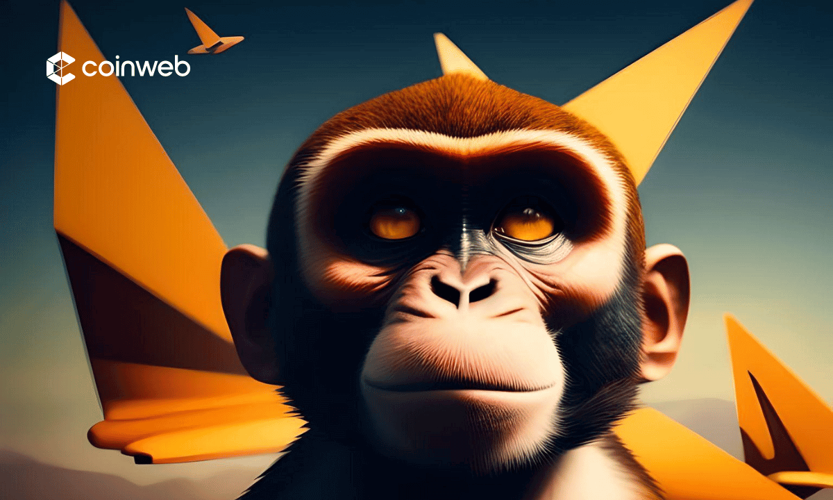 SEND A BITCOIN visual data 8