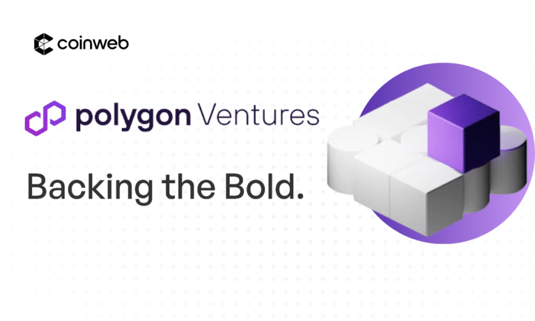 polygon ventures review