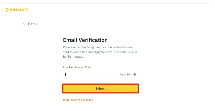Enter the verification code.