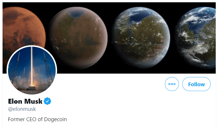 Elon Musk bio as the Former CEO of Dogecoin.