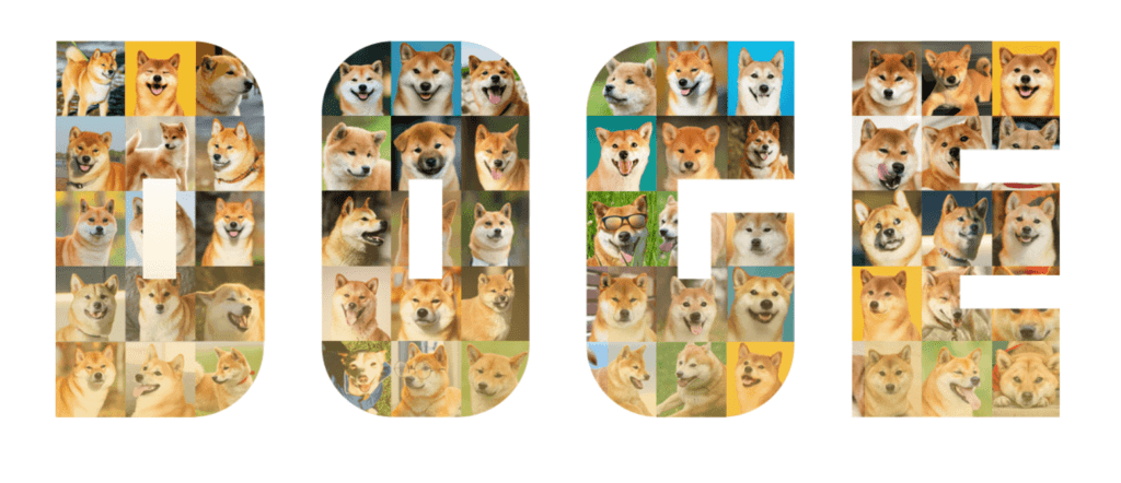 Dogecoin homepage cover.