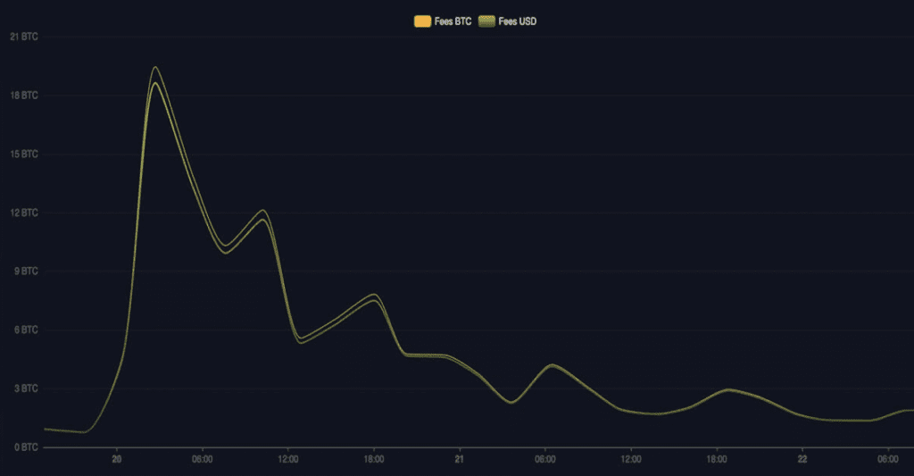 Bitcoin halving triggered fee panic