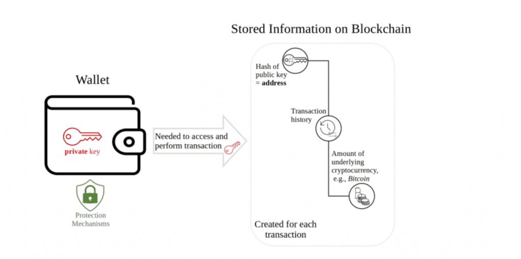 Cryptocurrency wallets hold the keys you need to access your crypto