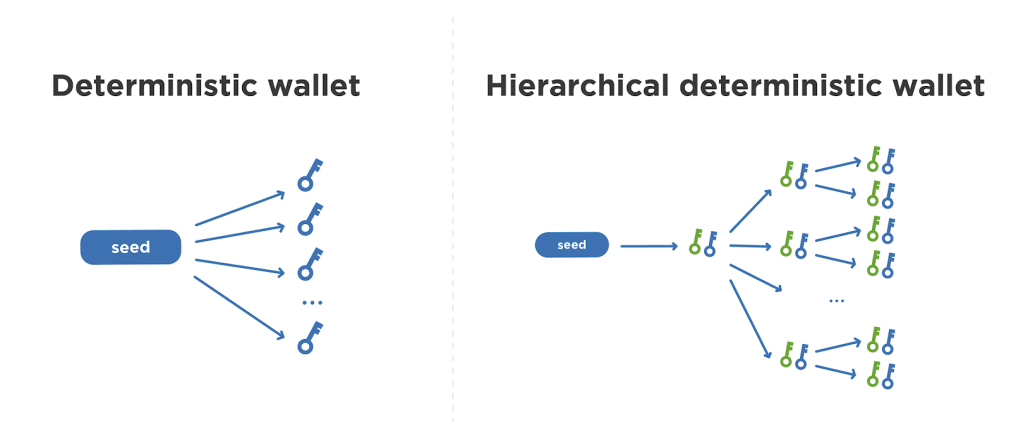 Deterministic Wallet vs Hierarchical Deterministic Wallet