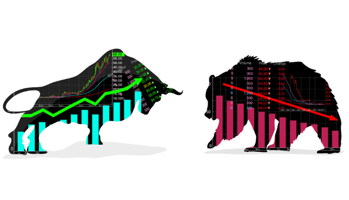Visual comparison of the bear and bull market