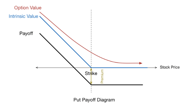 Put options profit when the asset price drops below a set point.