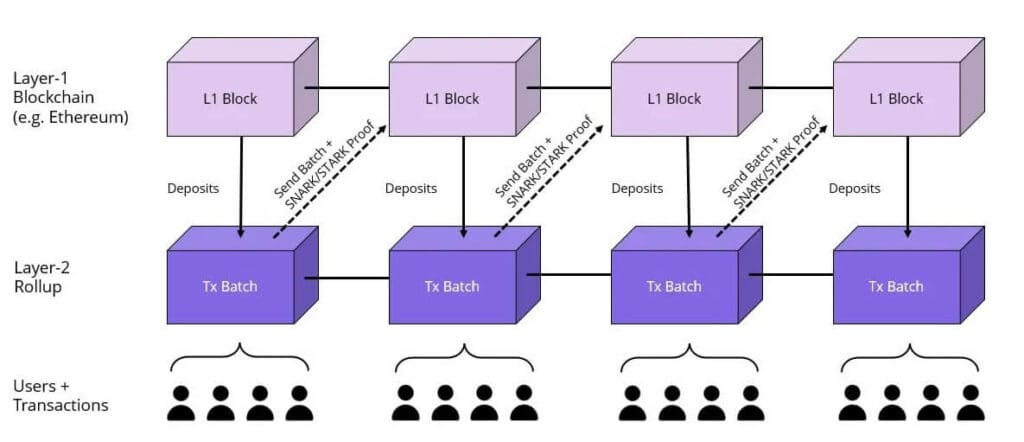 ZK-rollup Transaction Process